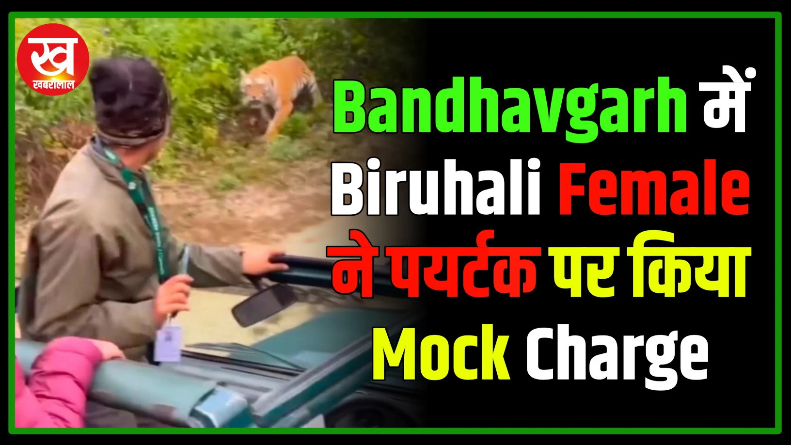 Vedio : Bandhavgarh में Biruhali Female ने पयर्टक पर किया Mock Charge