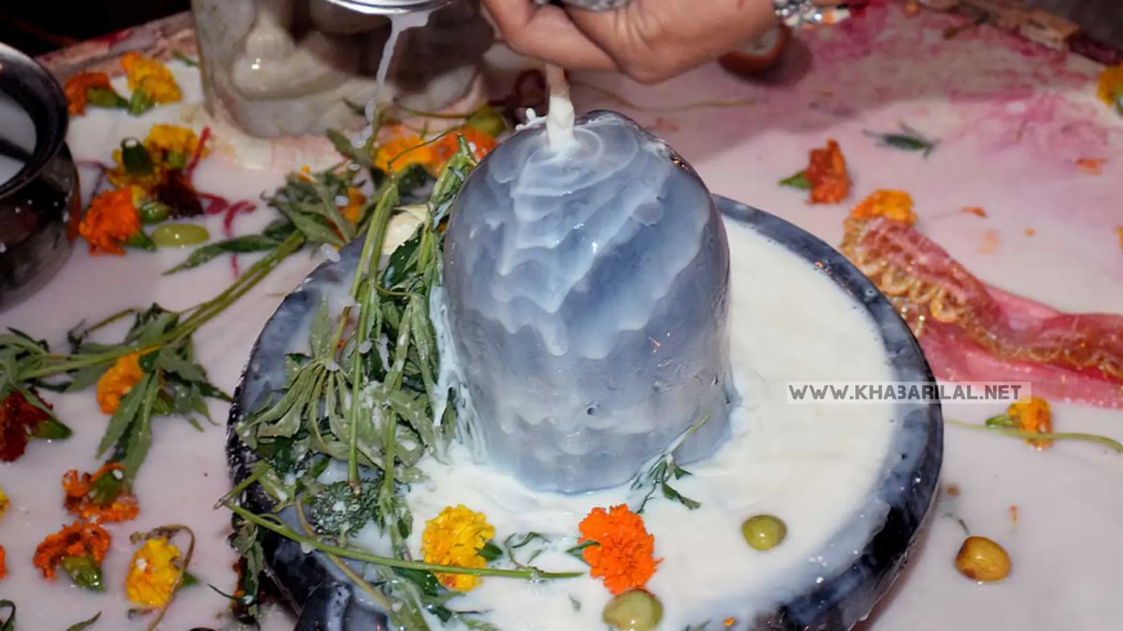 Mahashivratri Upay 2024 : इस महाशिवरात्रि घर में रखी हुई लौंग आपको बना देगी मालामाल