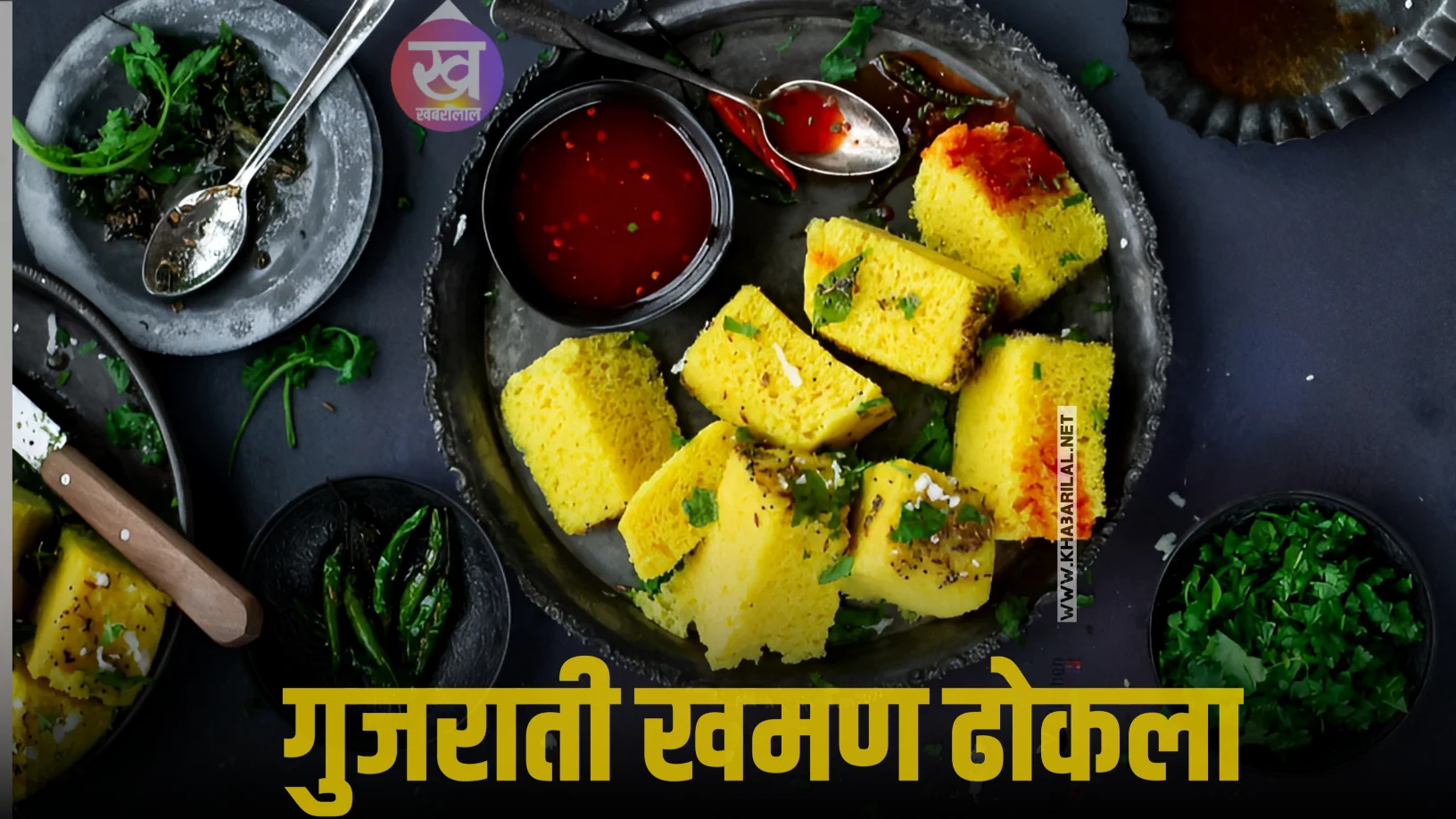 गुजराती खमण ढोकला बनाने की रेसिपी | Gujarati Khaman Dhokla Recipe in Hindi