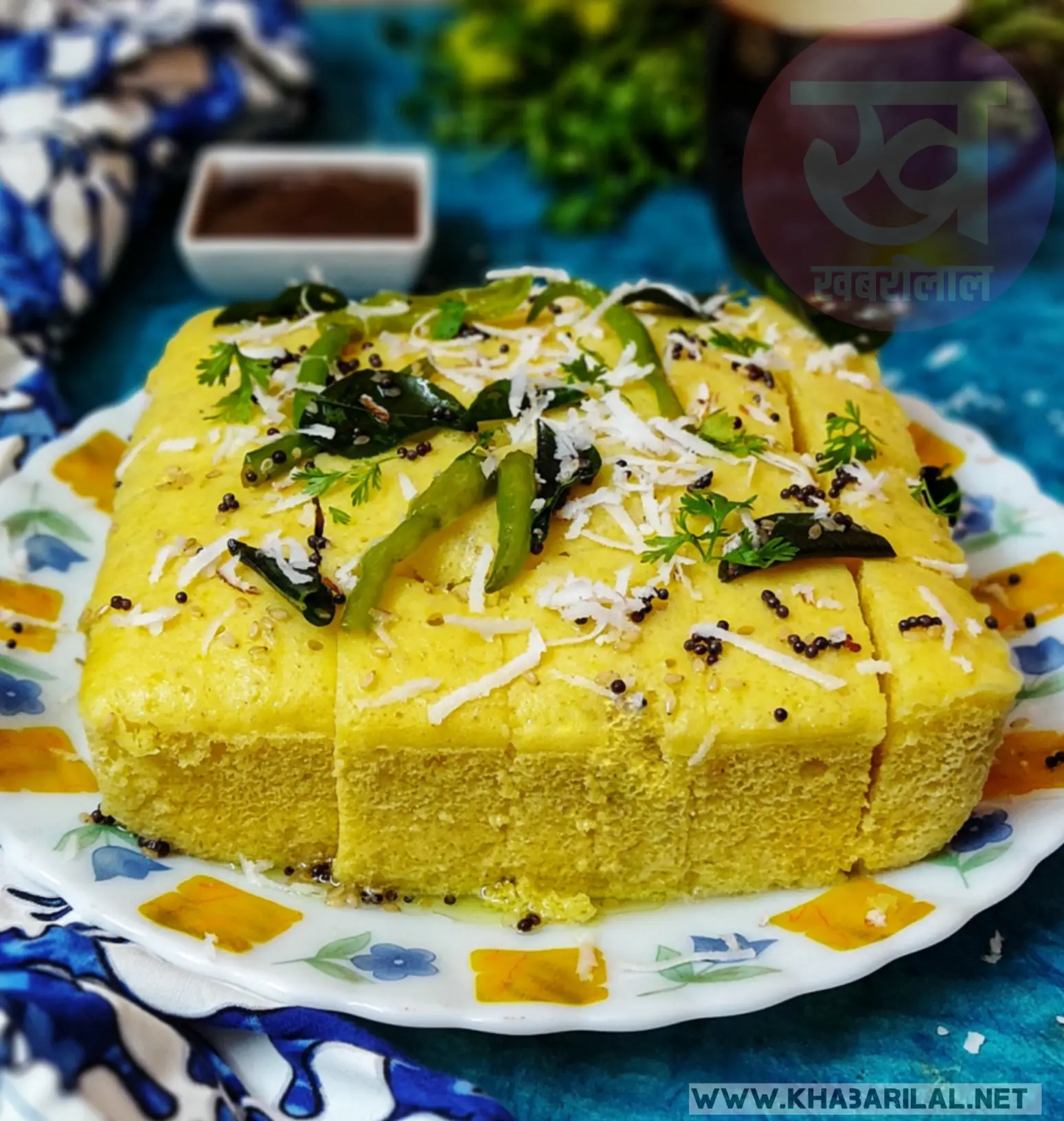 गुजराती खमण ढोकला बनाने की रेसिपी | Gujarati Khaman Dhokla Recipe in Hindi