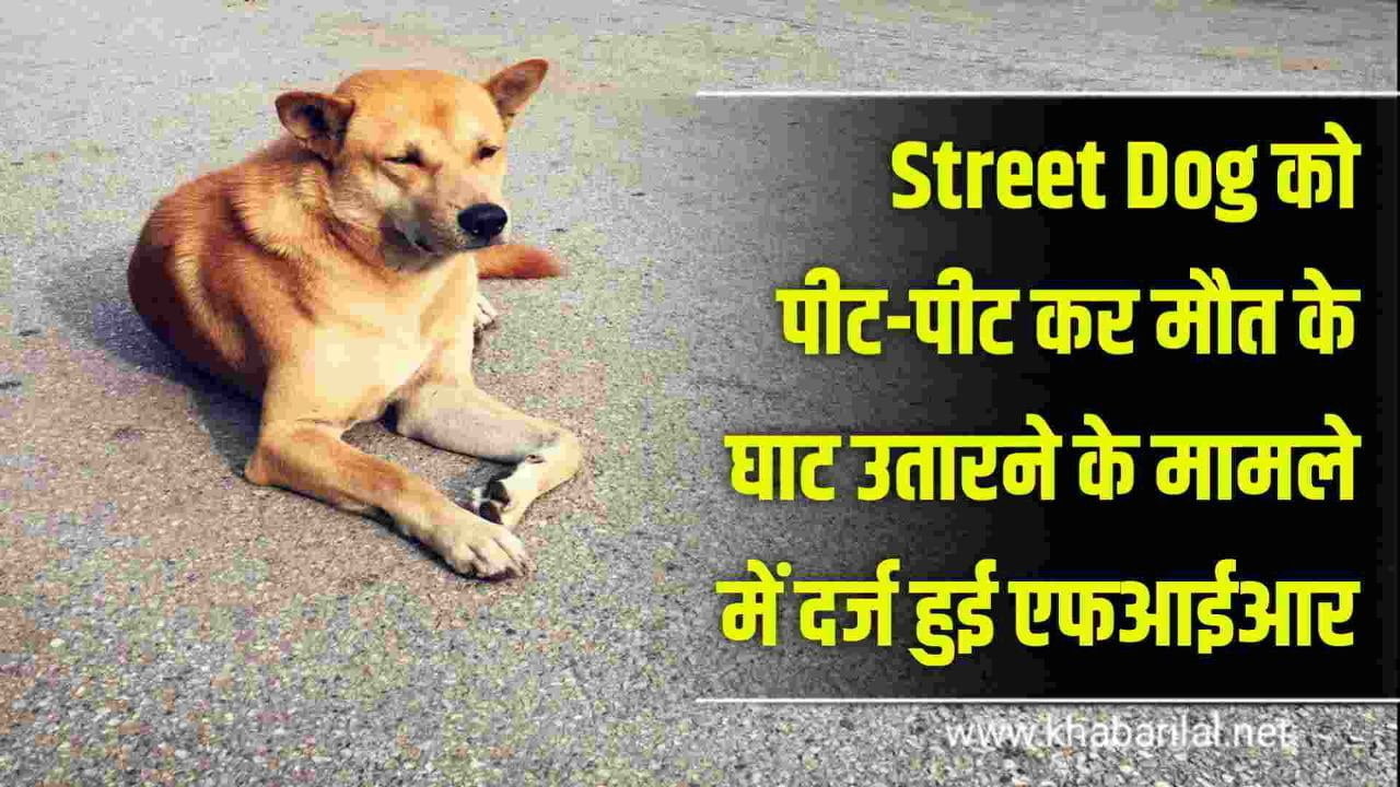 Street Dog को पीट-पीट कर मौत के घाट उतारने के मामले में दर्ज हुई एफआईआर