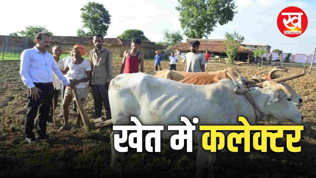 किसान खेत में चला रहा था हल पीछे से पहुँच गए कलेक्टर सिंगरौली सुनी किसान की समस्याएं