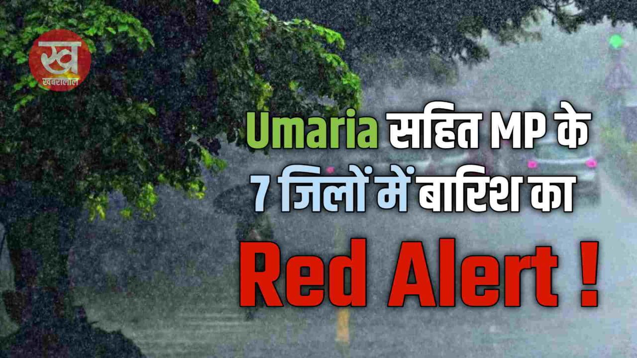 सावधान ! Umaria सहित MP के इन 7 जिलों में बारिश का Red Alert !