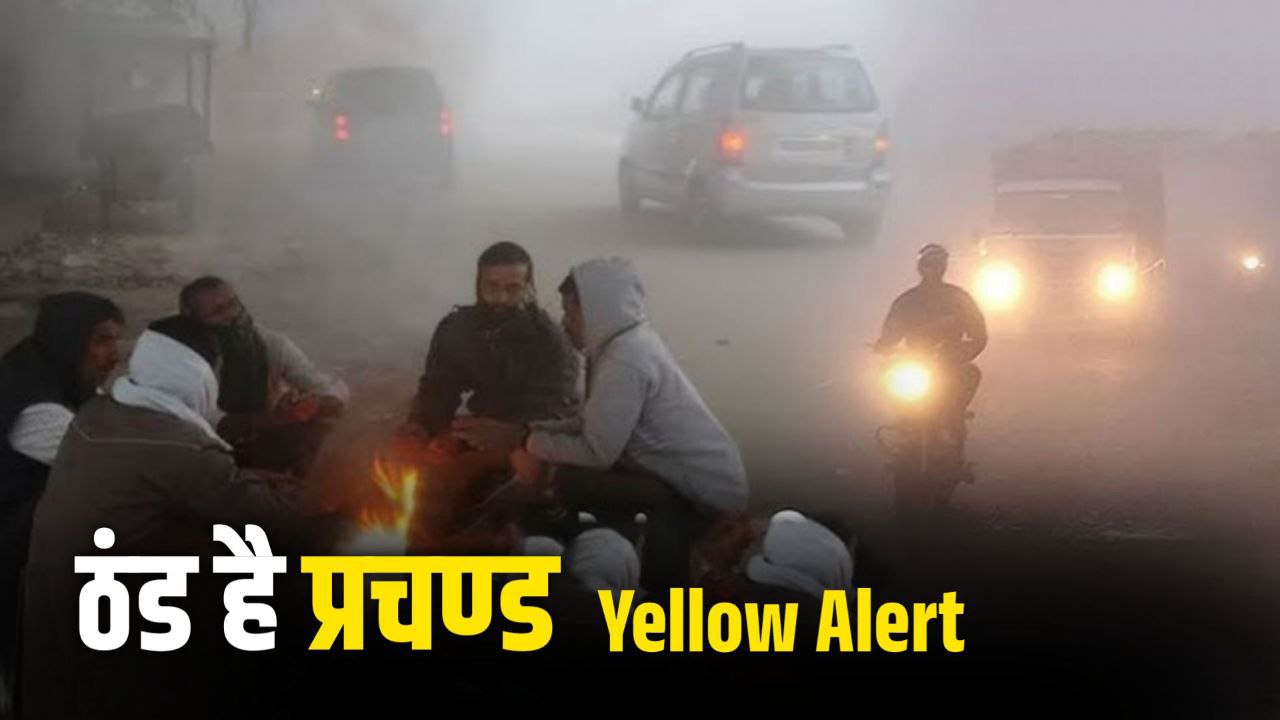 ठंड है प्रचण्ड : एक बार फिर MP के दर्जनों जिलों में ठंड का Yellow Alert जारी देखिए लिस्ट