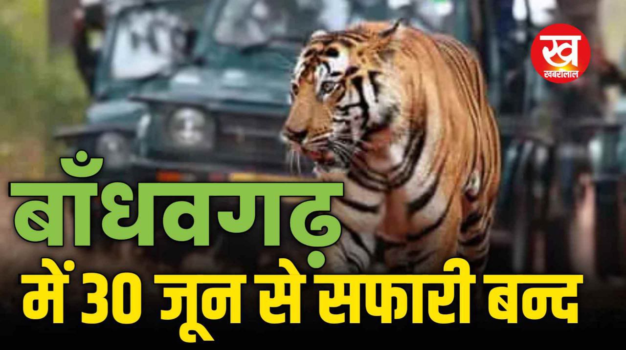 Bandhavgarh में 30 जून से बंद हो जाएगी Tiger Safari जानिए प्रबंधन ने क्यों ले लिया यह निर्णय 