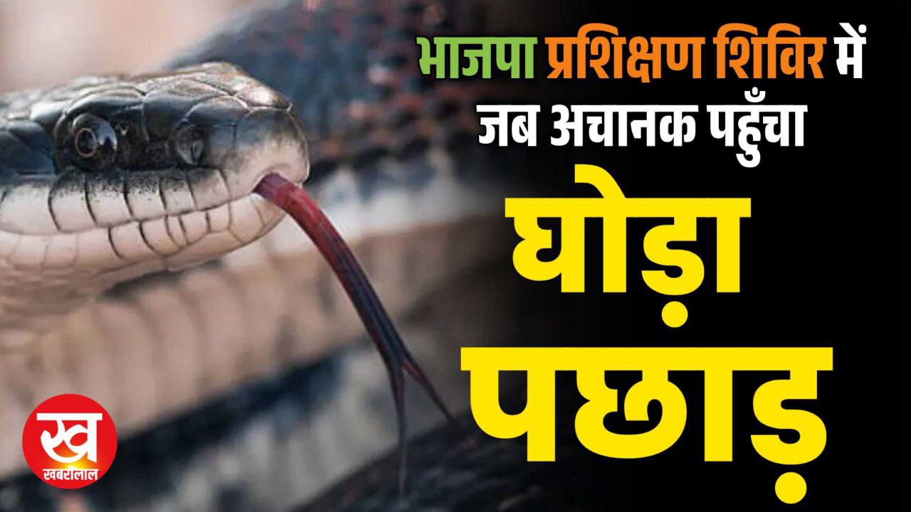 पचमढ़ी भाजपा प्रशिक्षण शिविर में जब पहुंचा 6 फीट का घोड़ा पछाड़ 