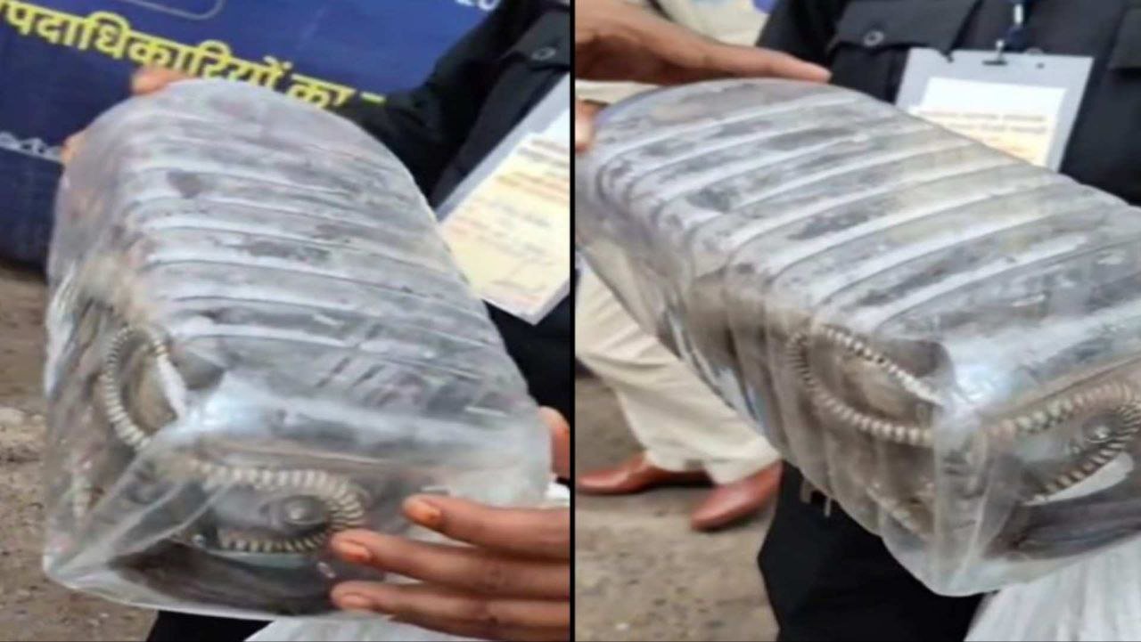 पचमढ़ी भाजपा प्रशिक्षण शिविर में जब पहुंचा 6 फीट का घोड़ा पछाड़