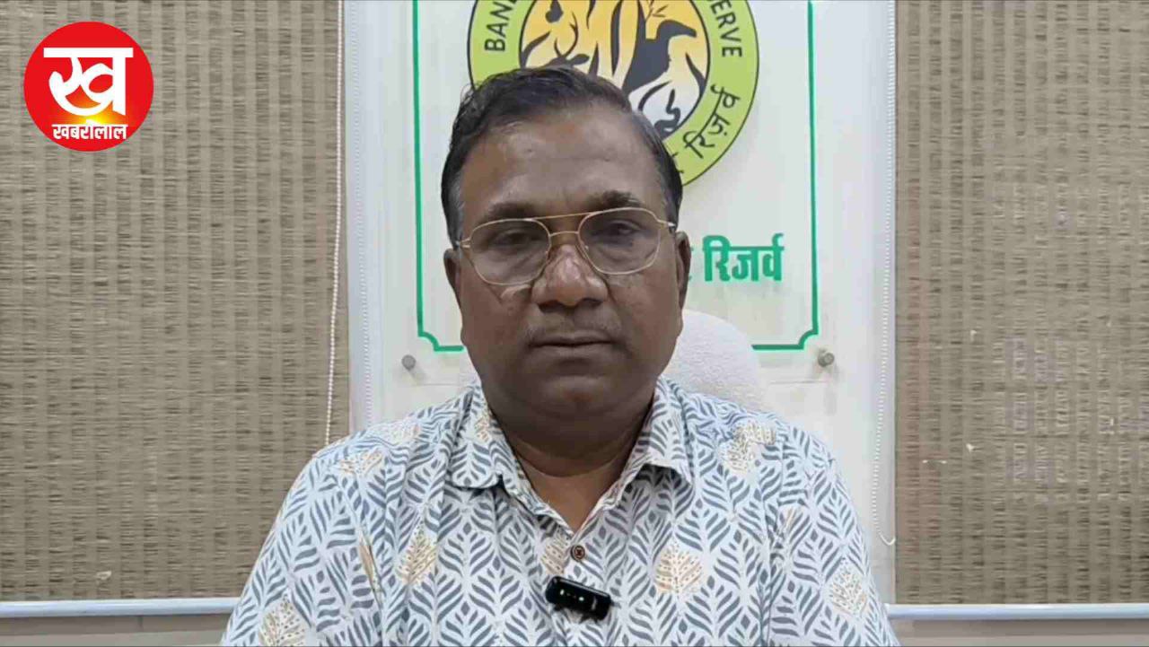 Bandhavgarh क्यों बना विदेशी पर्यटकों की पहली पसंद ? डिप्टी डायरेक्टर ने बताए ये 3 बड़े कारण Bandhavgarh क्यों बना विदेशी पर्यटकों की पहली पसंद ? डिप्टी डायरेक्टर ने बताए ये 3 बड़े कारण