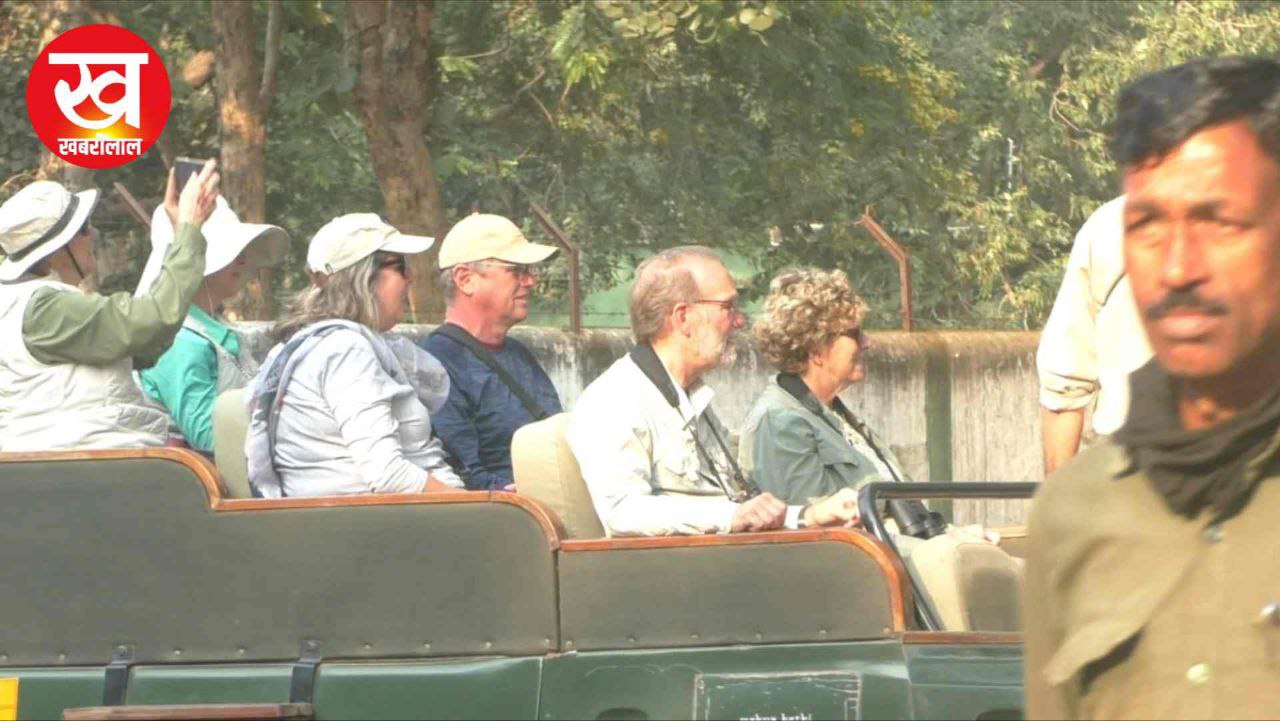 Bandhavgarh क्यों बना विदेशी पर्यटकों की पहली पसंद ? डिप्टी डायरेक्टर ने बताए ये 3 बड़े कारण