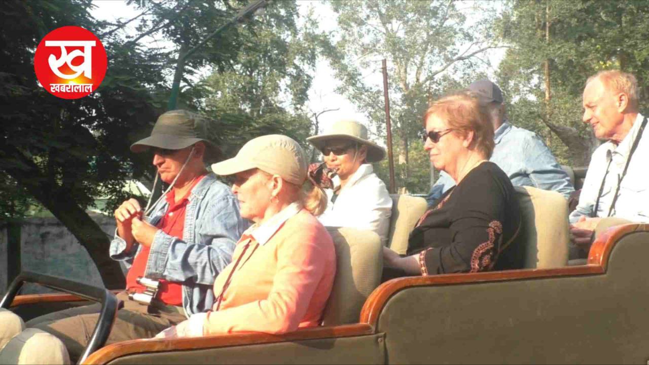 Bandhavgarh क्यों बना विदेशी पर्यटकों की पहली पसंद ? डिप्टी डायरेक्टर ने बताए ये 3 बड़े कारण
