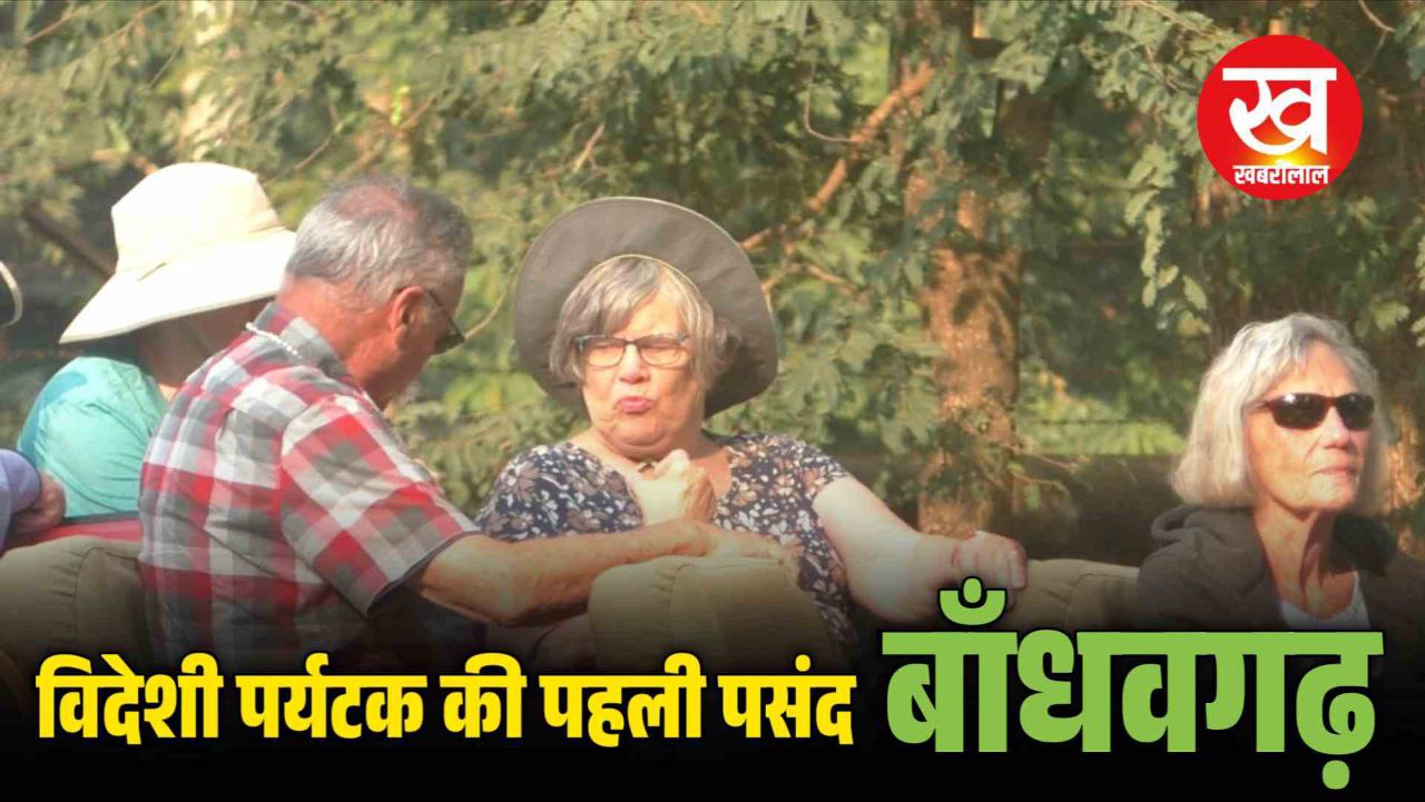 Bandhavgarh क्यों बना विदेशी पर्यटकों की पहली पसंद ? डिप्टी डायरेक्टर ने बताए ये 3 बड़े कारण