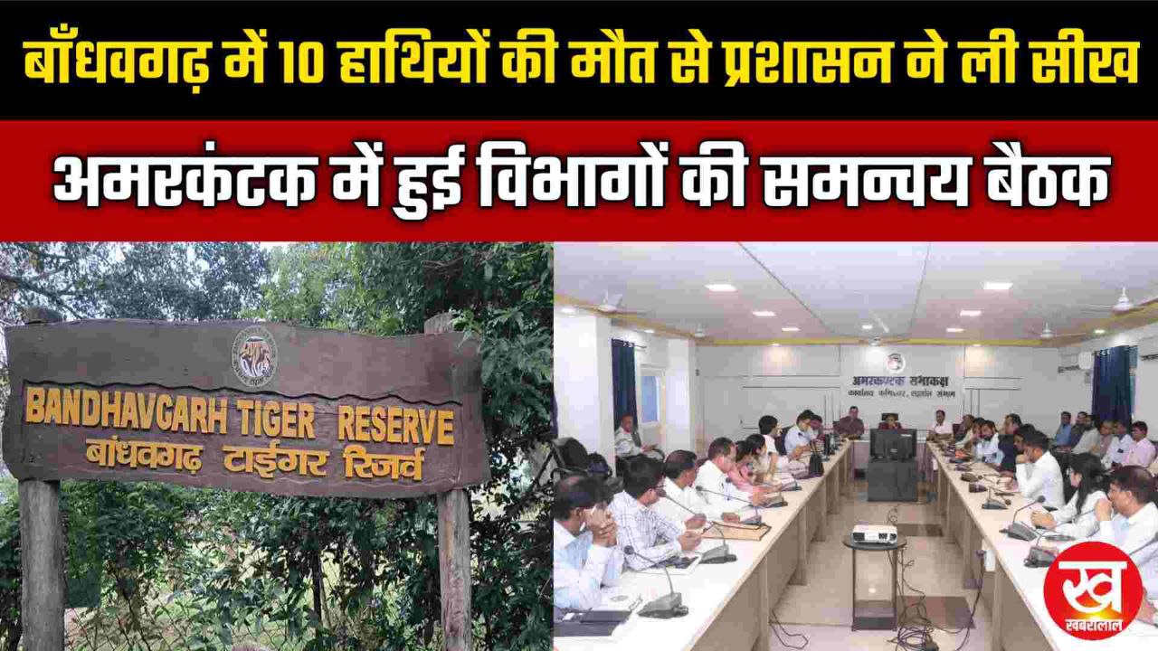 Bandhavgarh में 10 हाथियों की मौत से प्रशासन ने ली सीख अमरकंटक में हुई विभागों की समन्वय बैठक