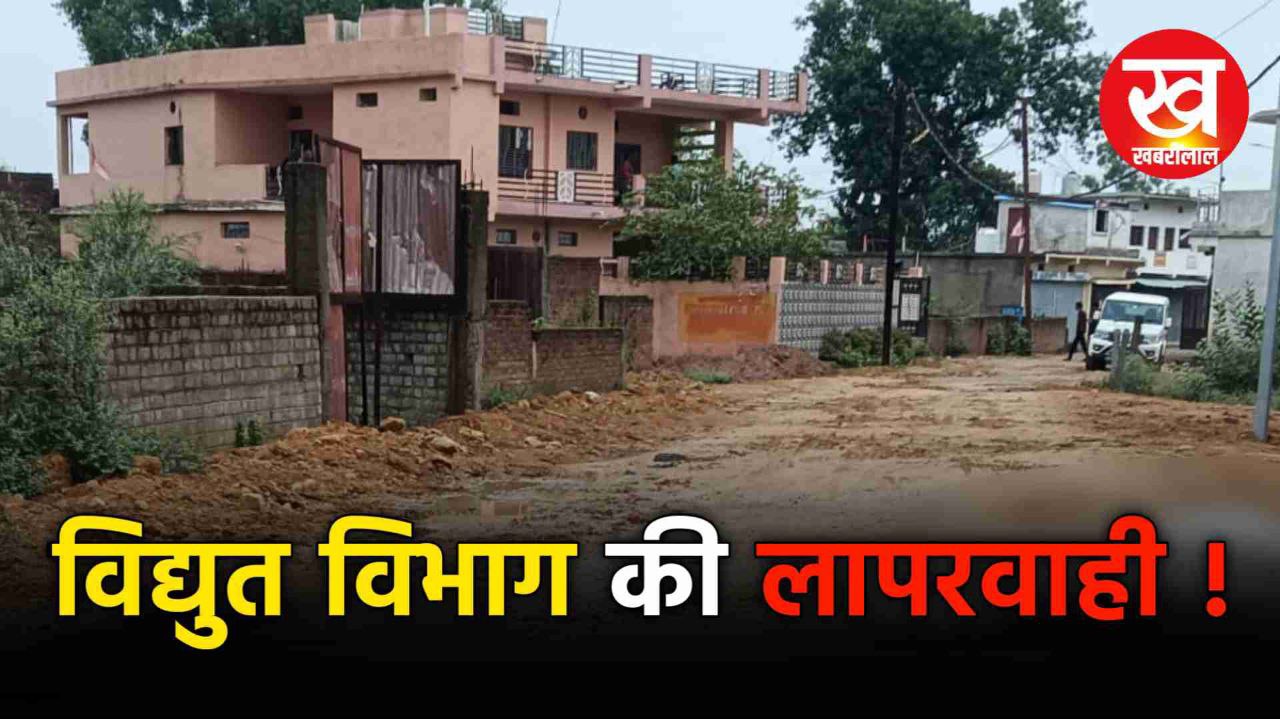 विद्युत विभाग की लापरवाही से जिला मुख्यालय उमरिया में 2 गायों की मौत