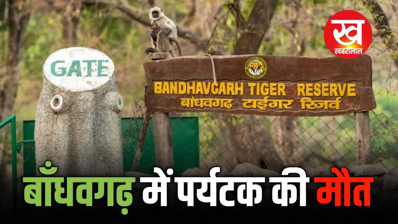 Bandhavgarh के जंगल मांटी रिसोर्ट में दिल्ली निवासी पर्यटक की हुई मौत