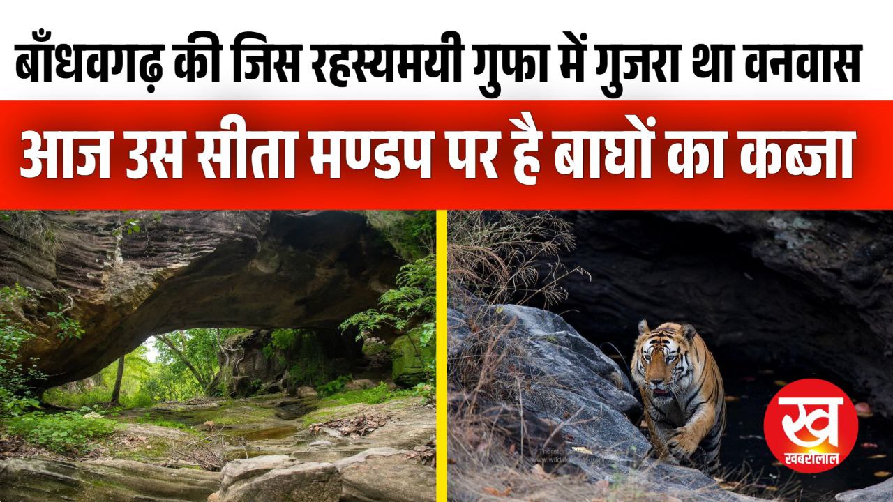 वनवास के दौरान Bandhavgarh की जिस रहस्यमयी गुफा में ठहरे थे राम आज उस पर है बाघों का कब्जा
