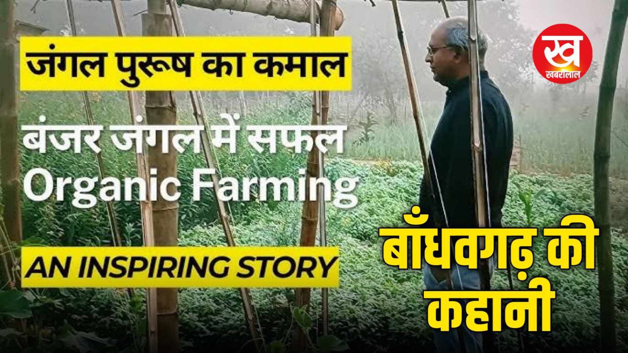 IIT मुंबई से पास आउट अभय सिंह ने बदल दी Bandhavgarh के इस गाँव की तस्वीर शोध में जुटेंगे PHD छात्र