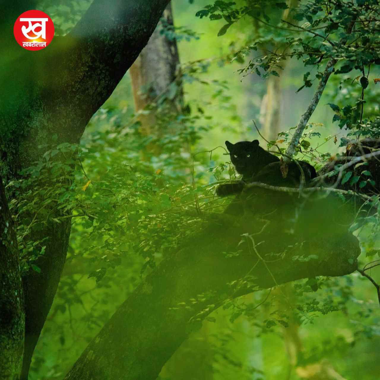 Kabini Tiger Reserve से मानसून सीजन की आई ये 06 मनमोहन तस्वीरें