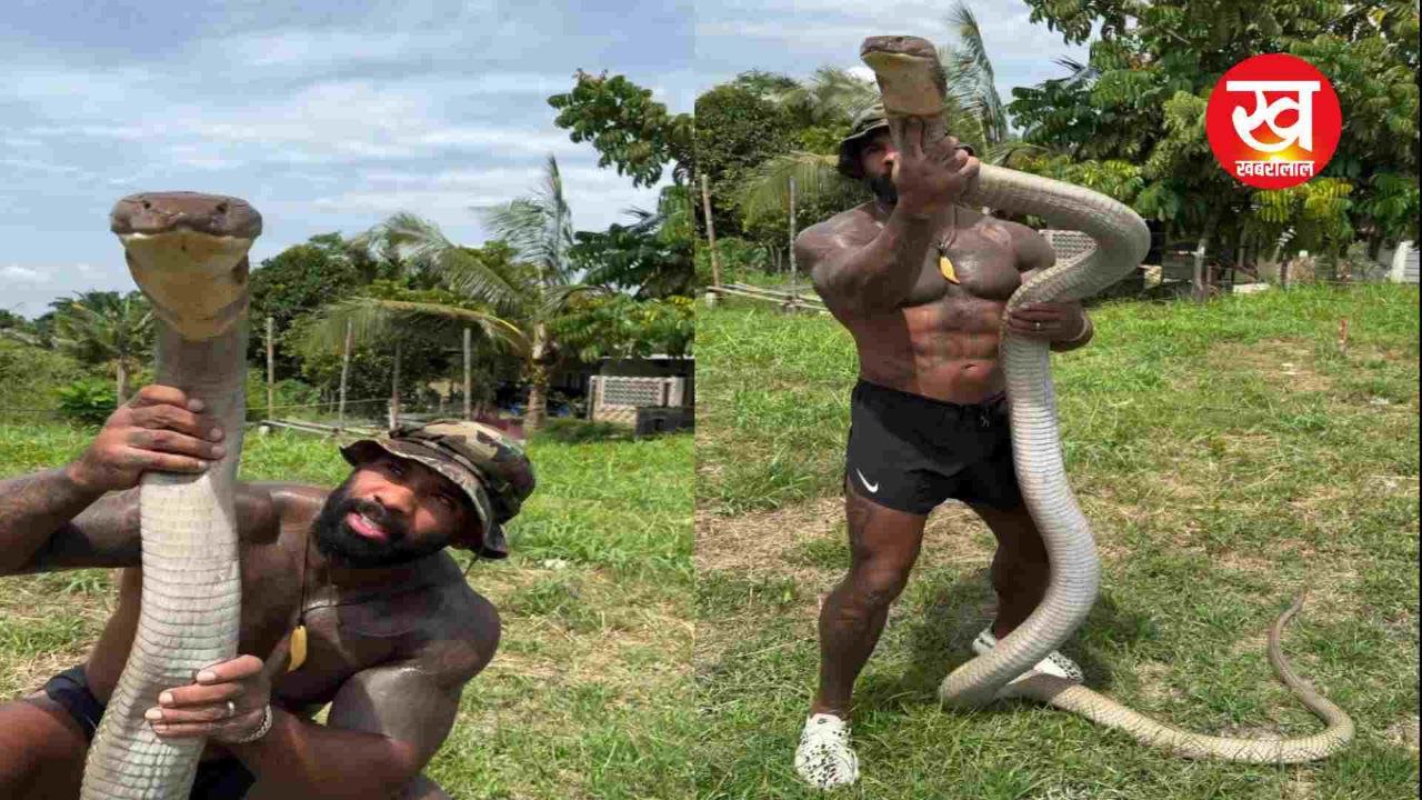 Viral Video : The Real Tarzan के हाथों में King Kobra ओरिजनल है या बच्चों का खिलौना सच्चाई जानकर सिहर उठेंगे आप