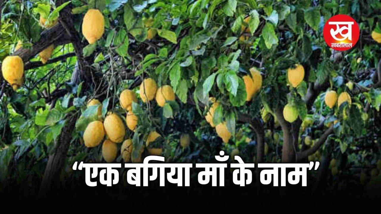 “एक बगिया माँ के नाम” के तहत बनाए जाएंगे फलोद्यान ड्रोन-सैटेलाइट इमेज से होगी निगरानी