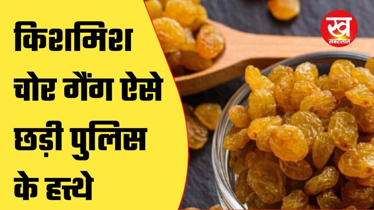 (ग्वालियर) किशमिश चोर गैंग का ऐसे हुआ खुलासा...