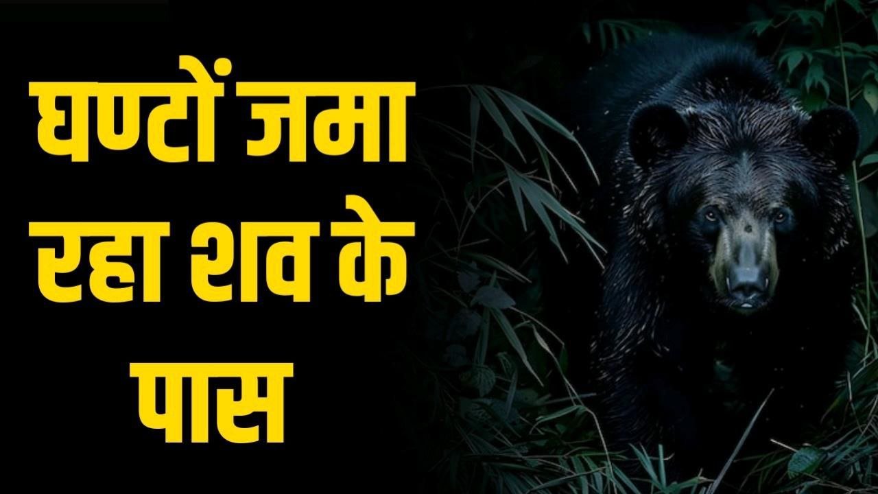 जंगल में महिला को उठा ले गया भालू घण्टों जमा रहा शव के पास केशवाही मे हड़कंप