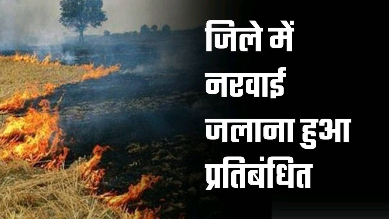 नरवाई जलाना पड़ जाएगा महँगा कलेक्टर उमरिया ने जारी ये बड़ा आदेश