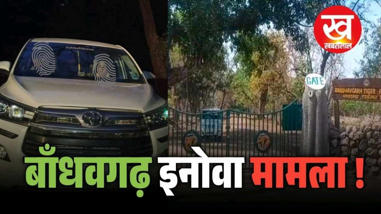बाँधवगढ़ में टाईगर सफारी के लिए जंगल मे घुसी इनोवा फॉरेस्ट गार्ड निलबिंत