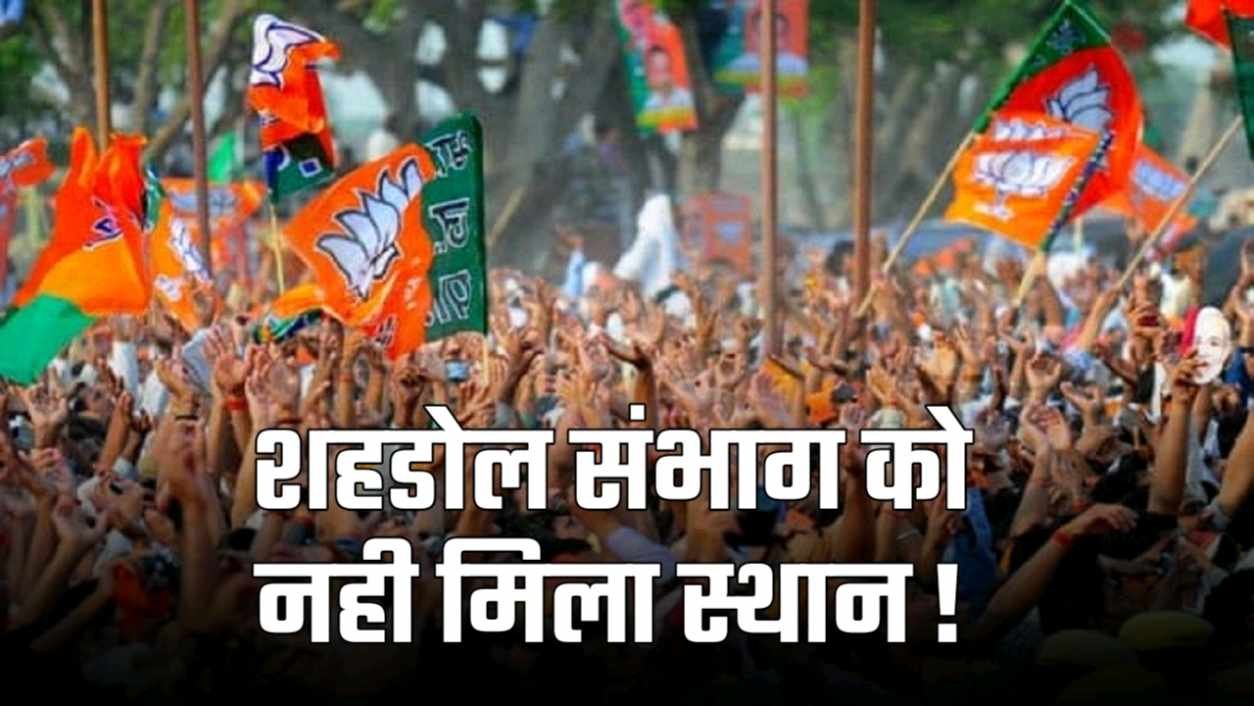 भाजपा प्रदेश युवामोर्चा की सूची देर रात जारी शहडोल संभाग का नेतृत्व नदारद