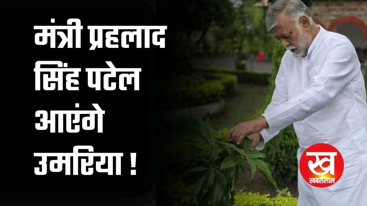 उमरार और मछरार नदी के उद्गम पर मंत्री प्रहलाद पटेल करेंगे वृक्षारोपण पढ़िए अपडेट
