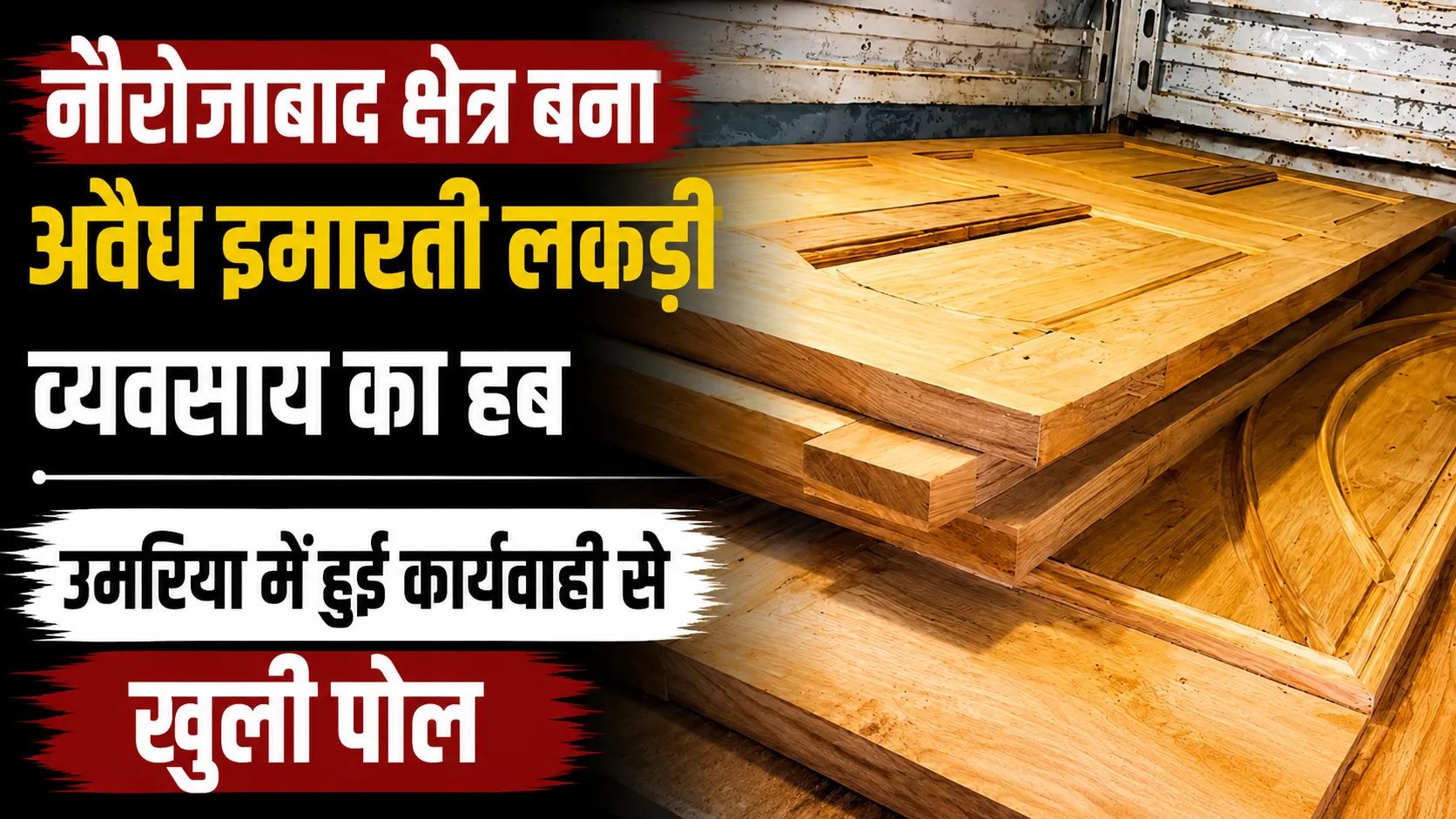 नौरोजाबाद क्षेत्र बना अवैध इमारती लकड़ी व्यवसाय का हब उमरिया में हुई कार्यवाही से खुली पोल